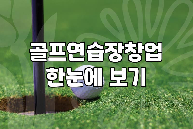 무인 스크린골프 창업과 스윙 분석기, 현실적인 고려사항들