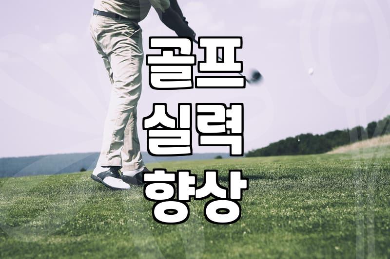 골프연습도구 선택 기준과 실전 활용 효과
