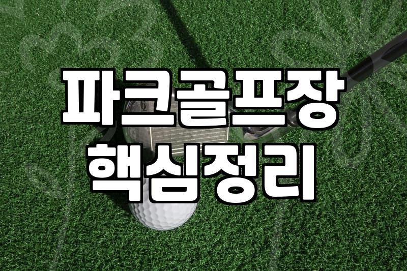파크골프 입문자가 알아두면 좋을 실제 환경과 장비 선택 기준