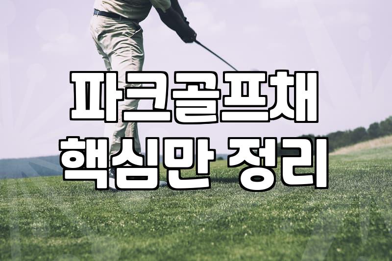 판테온파크골프 제품 특징과 장비 선택 시 확인사항