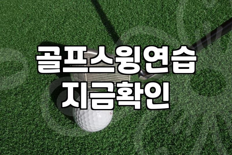 골프연습도구 종류별 가격과 실제 활용 효과 비교