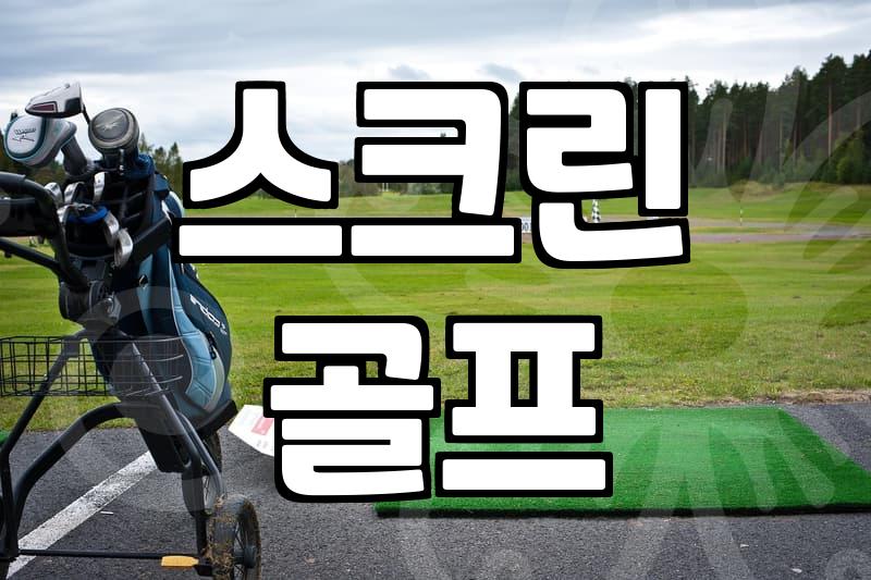 실내골프장, 갈까 말까? 현명한 선택 가이드