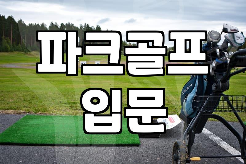 파크골프채 하나 고르는 게 이렇게 머리 아플 일인가