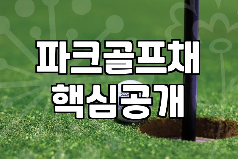 파크골프연습장 선택 시 확인해야 할 필수 조건과 시설 유형