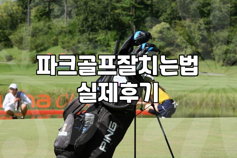 파크골프, 홀컵 앞에서 마주하는 의외의 현실들에 대하여
