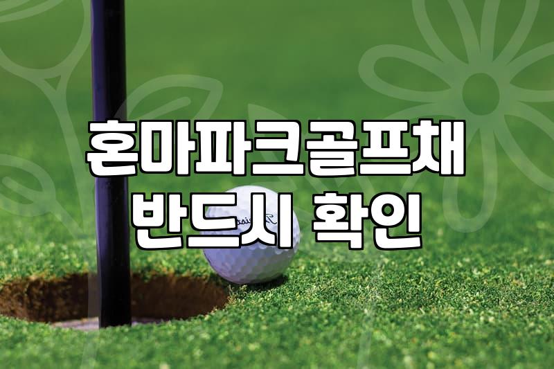 파크골프채미즈노 선택할 때 꼭 알아야 할 무게와 재질 기준