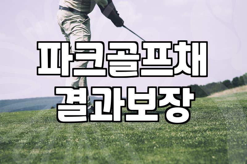 파크골프 채 살 때 이것저것 고민하다 결국…