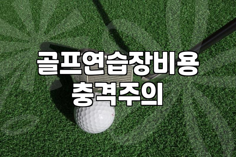 가정용 스크린 골프, 환상과 현실 사이에서 고민하는 이들에게