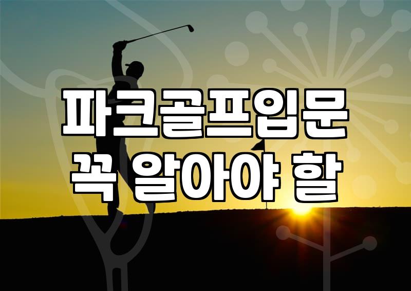 파크골프채, 비싼 게 정말 정답일까? 3년 차 동호인의 솔직한 고백