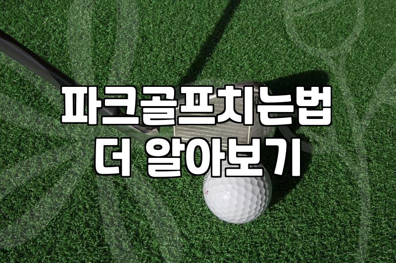 파크골프 시작할 때 꼭 알아두어야 할 실전 정보들
