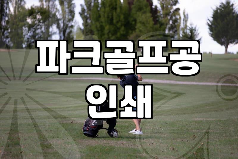 파크골프공, 직접 써보고 느낀 솔직한 후기 (인쇄 서비스)
