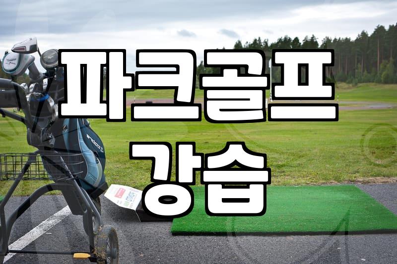 파크골프 레슨 비용 결정하는 요소와 평균적인 교육 기간