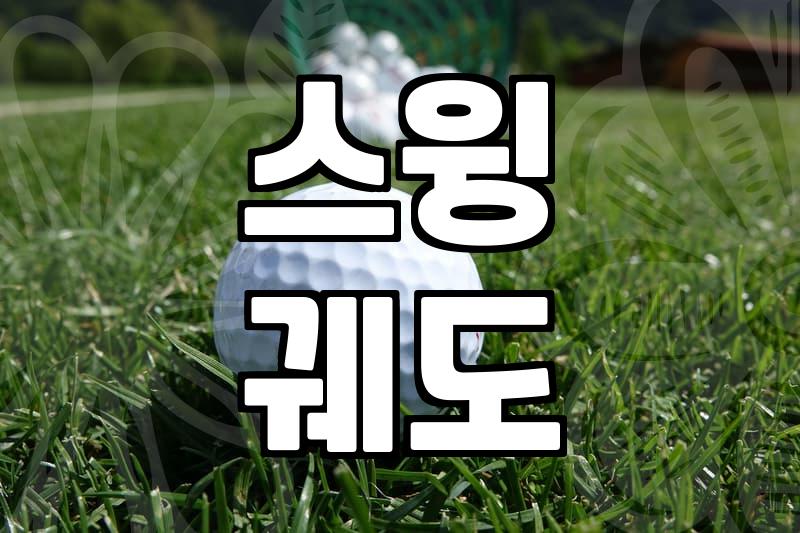 파크골프 입문자가 골프기초를 다질 때 반드시 알아야 할 현실적인 조언
