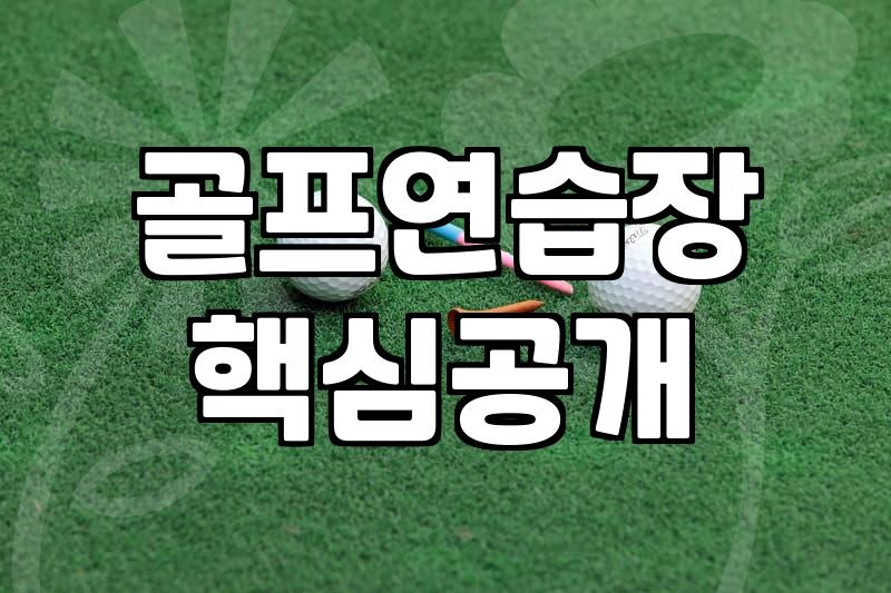골프 연습, 무작정 공만 친다고 해결될까: 현장에서 느끼는 딜레마