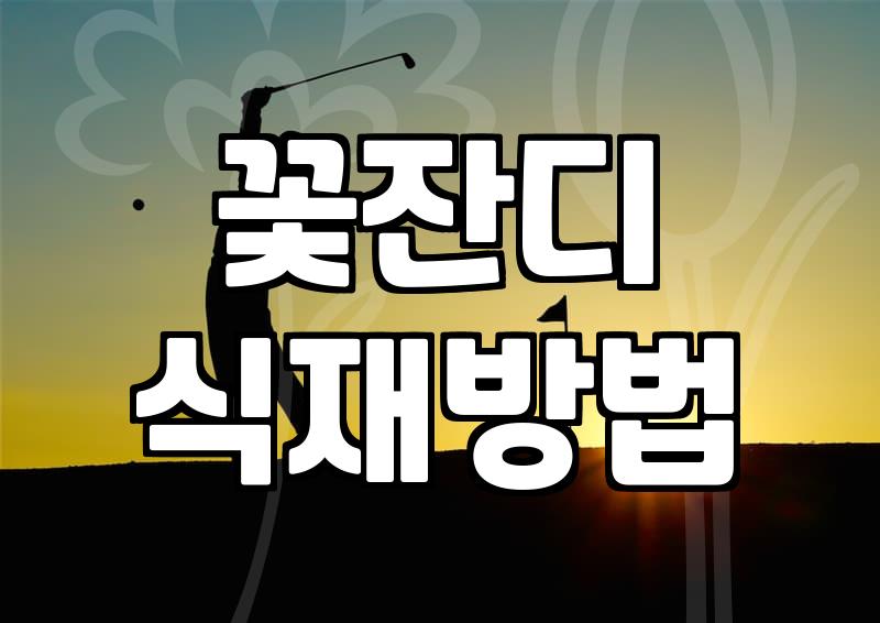 마당이나 공원 경사지에 꽃잔디를 심을 때 고려할 현실적인 부분들