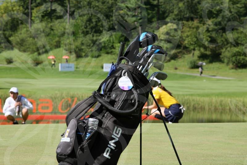 파크골프 시설 관리 효율을 극대화하는 스텐몰딩 선택과 시공 노하우