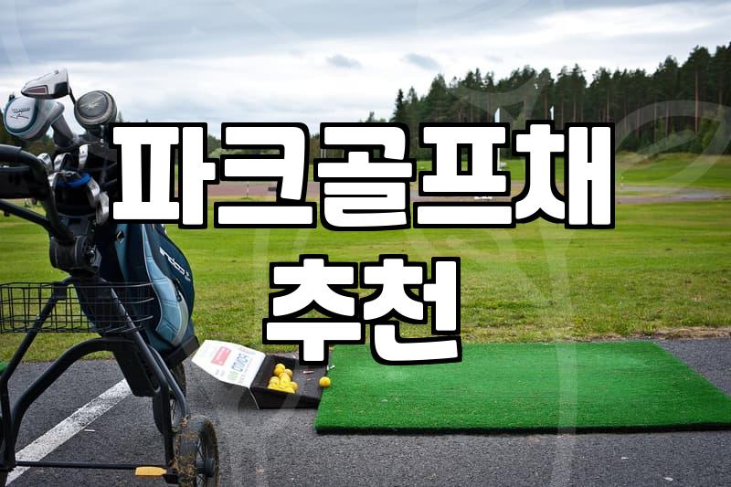 파크골프용품 선택 기준과 구매 시 고려할 경제적 요소