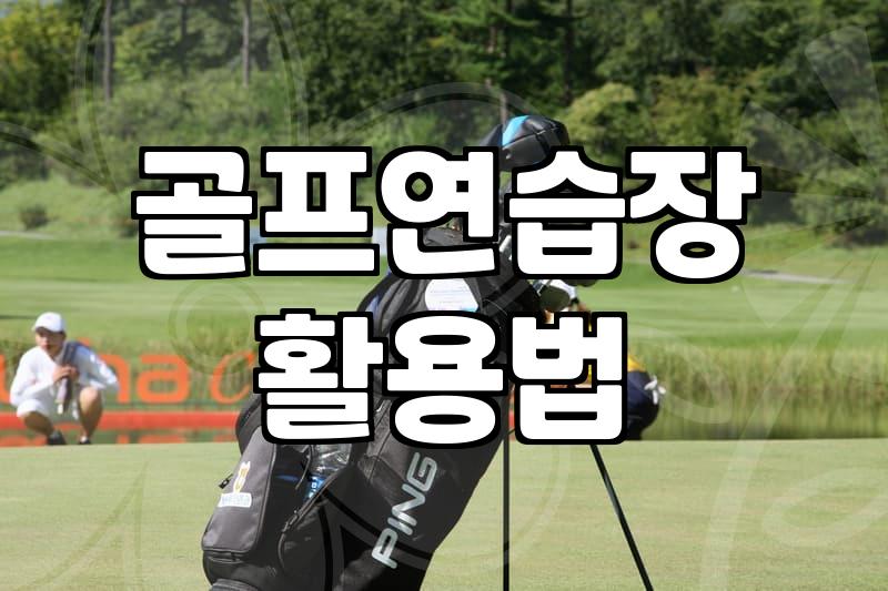 스크린골프 연습 환경과 실제 실력 향상의 현실적인 거리감