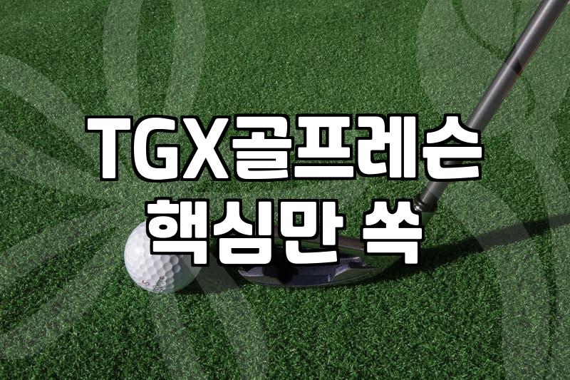 프리미엄 스크린 골프 TGX 직접 이용해 보니