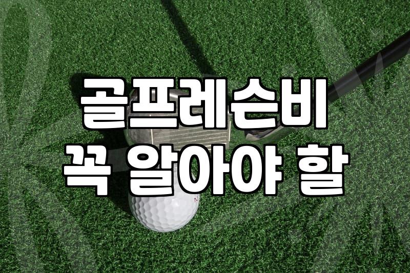 실내연습장부터 필드레슨까지 단계별 골프 비용과 현실적인 연습 방법