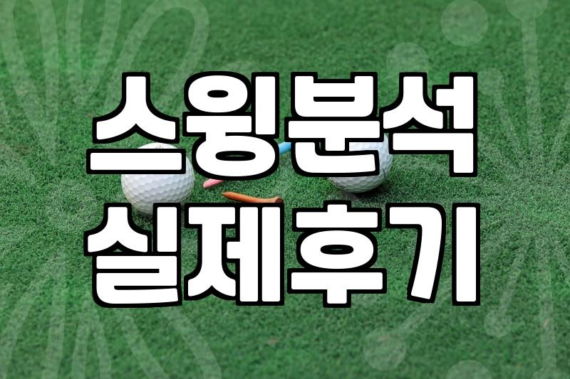 파크골프 실력 향상을 위한 아이언피팅이 진짜 필요한 경우