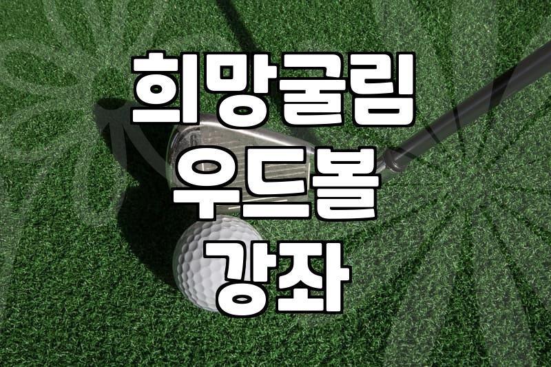 우드볼, 이거 모르고 시작하면 후회해요