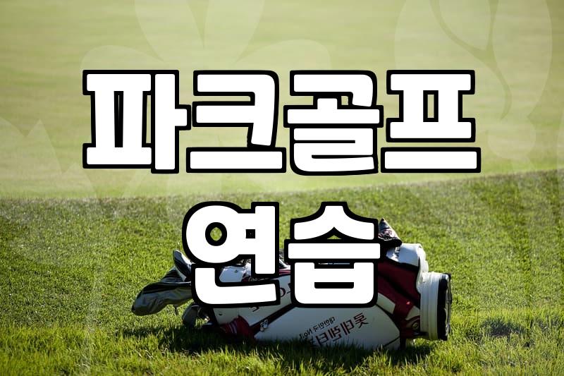 집 거실에 인조잔디를 깔아보려다 며칠을 고생했다