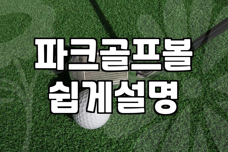 초보자가 후회 없는 파크볼을 고르는 세 가지 핵심 기준