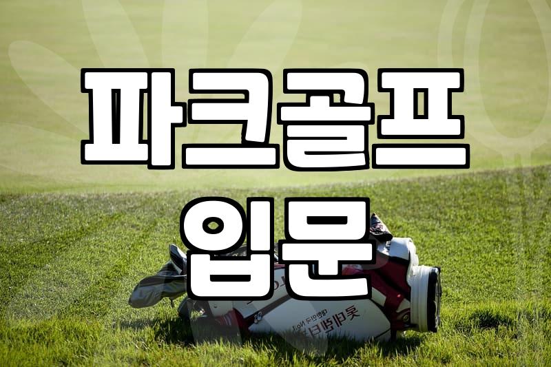 파크골프채 고르는법 무게와 헤드 소재로 판단하는 기준