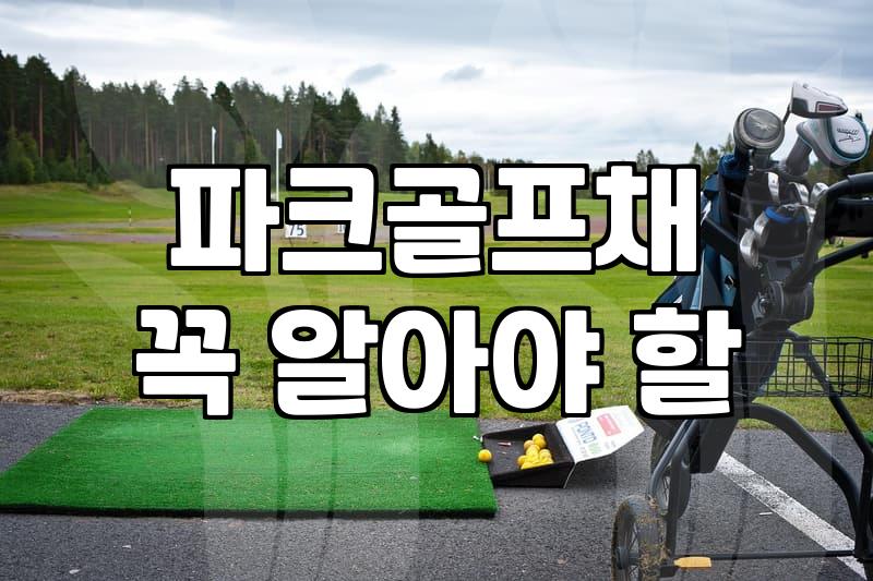 파크골프채, 비싼 게 무조건 답일까? 30대 실전 경험자의 솔직한 생각