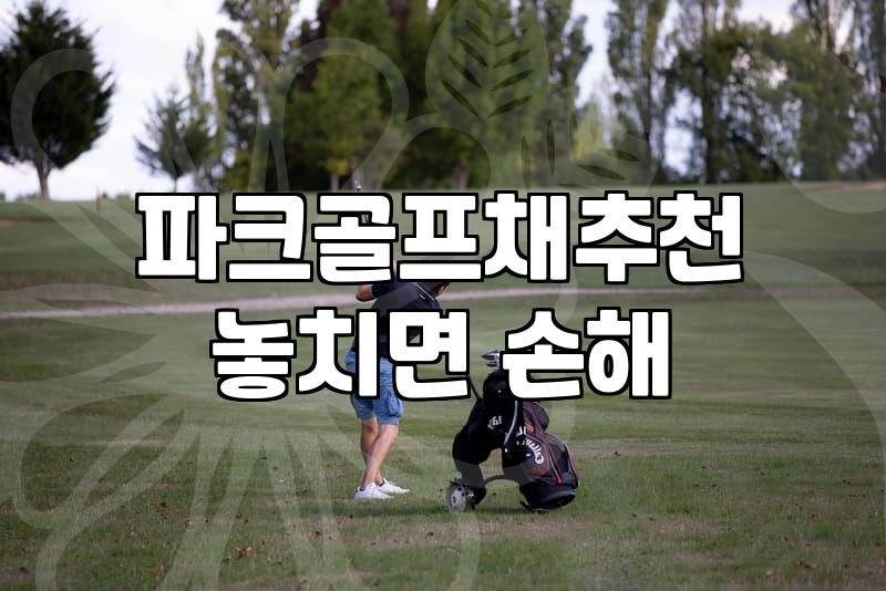 아버지가 파크골프채를 사달라고 하셔서 일단 매장에 다녀왔다