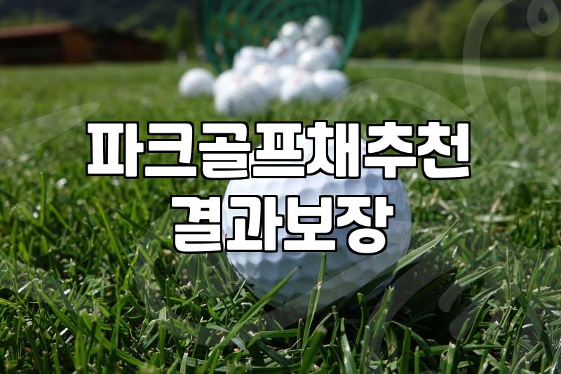 파크골프채종류 파악하고 나에게 맞는 클럽 고르는 법