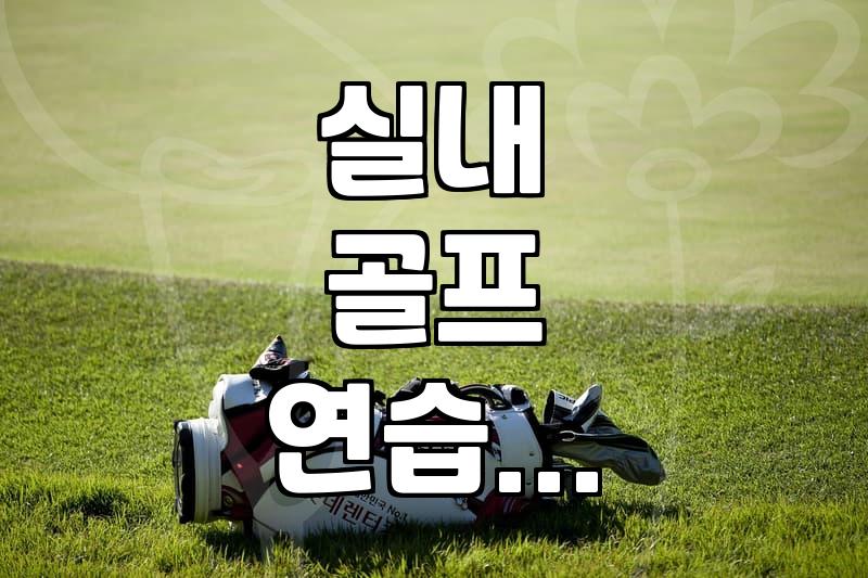 실내 골프 연습 시 낙하 방지망, 이거 꼭 필요한가요?