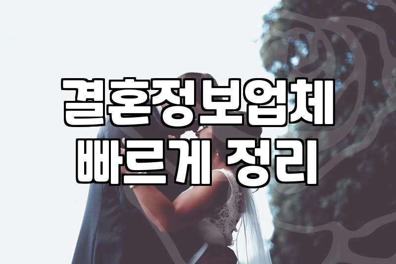 결정사비용 책정 기준과 가입 전 반드시 확인해야 할 계약 조건