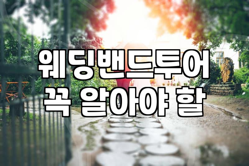 손가락에 끼우는 금속 덩어리 하나 정하는 게 왜 이렇게 힘들었나 싶다