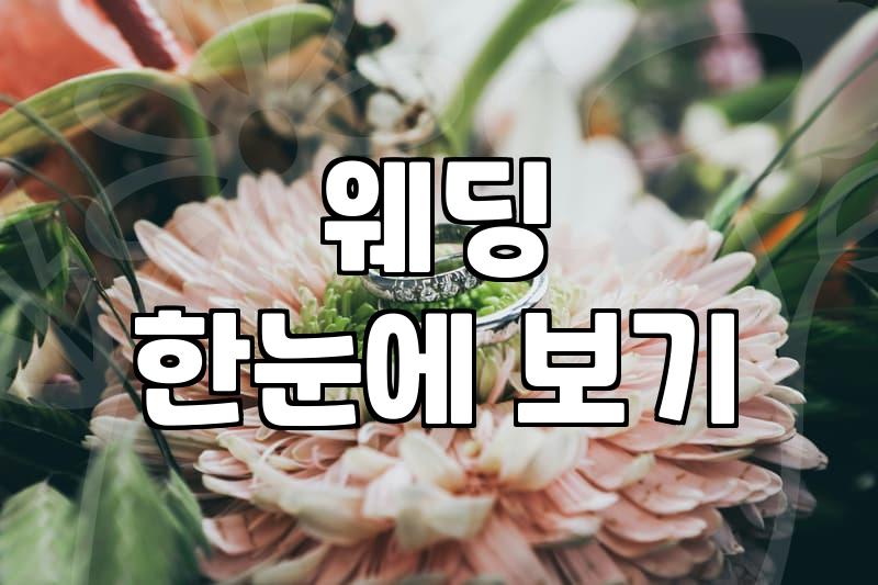 내 결혼식, 어떤 드레스가 좋을까? 현실적인 고민과 선택 가이드