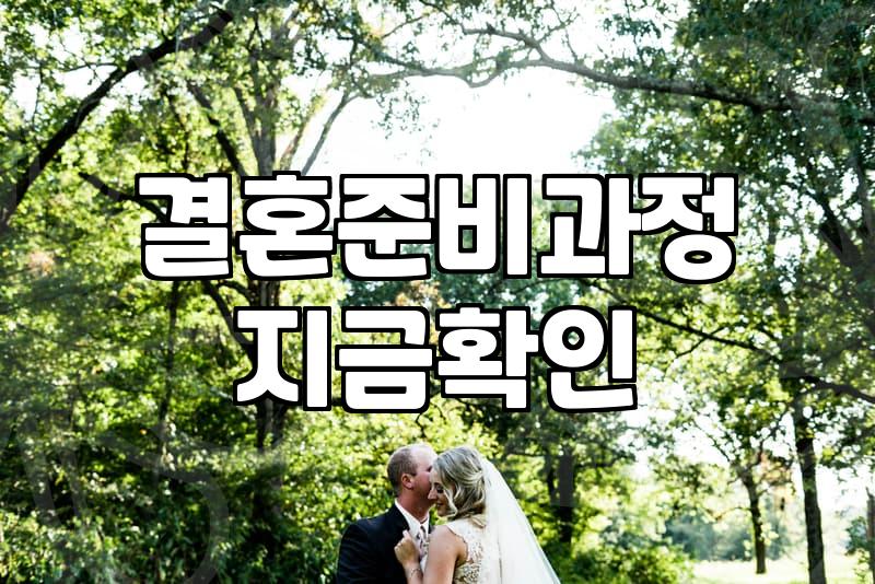부산에서 결혼 준비하며 느낀 예식장 투어와 현실적인 고민들