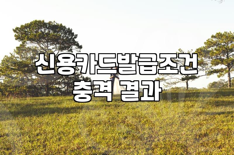 결혼준비신용카드 선택 전 확인해야 할 발급 조건과 혜택 계산법