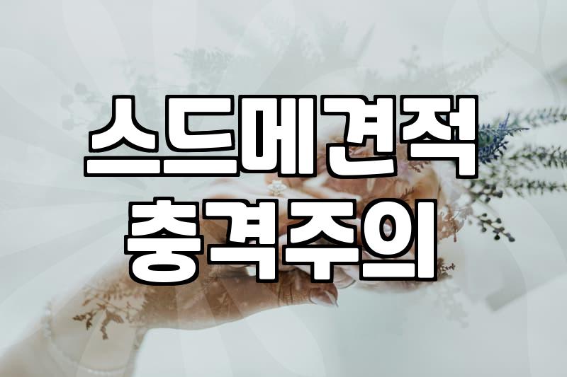예산을 절반으로 줄이는 합리적인 웨딩 패키지 선택 기준