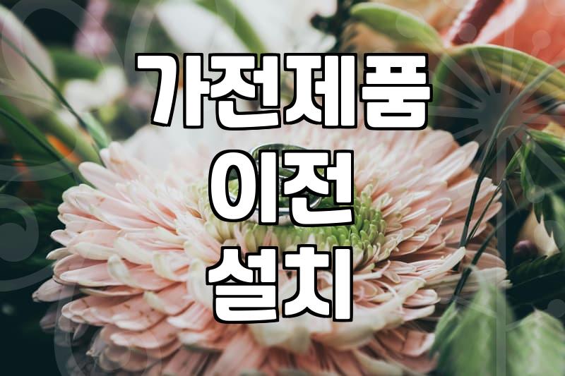 결혼 가전, 삼성 vs LG, 그냥 사지 말고 ‘이것’부터 따져보세요