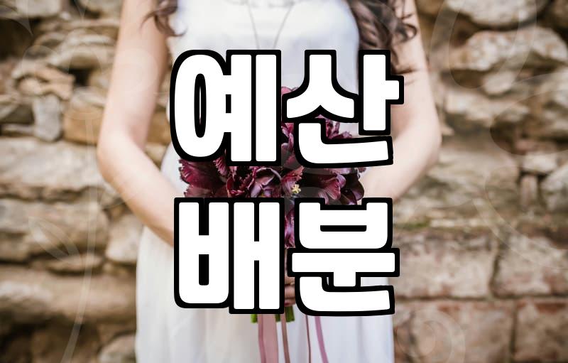 남들 다 하는 결혼 남들처럼 안 하고도 잘 사는 법