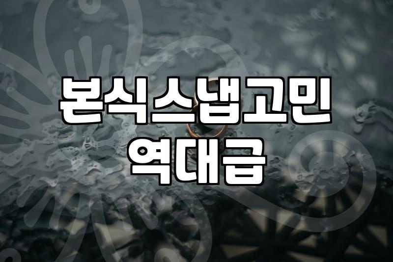 본식 스냅 업체를 고르다가 결국 마음에 드는 사진 스타일만 찾고 말았다