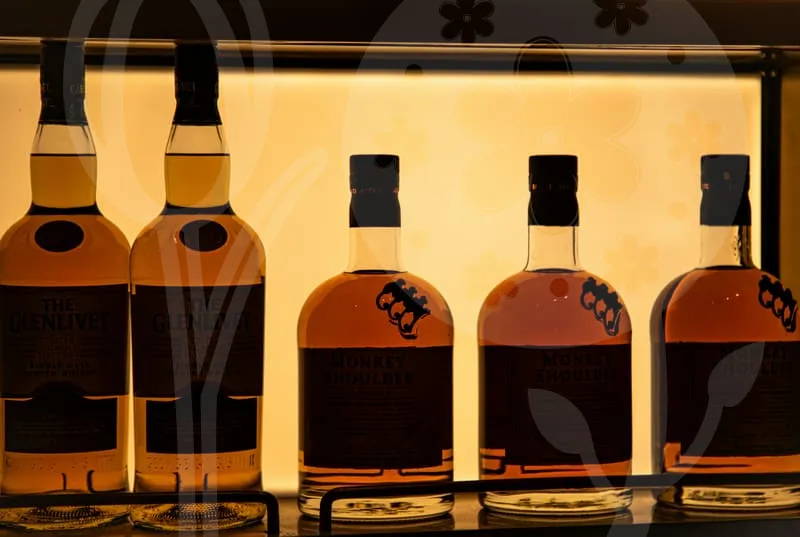 창원가볼만한곳